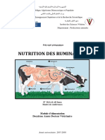 Nutrition Ruminants