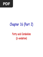 Chapter 16 (Part 2) Slides