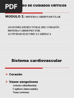 Cardiovascular Diplomado