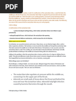 Pathophysiology of Otitis Media