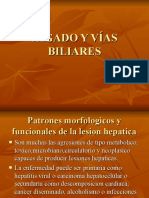 2 Hìgado y Vías Biliares