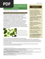 Duckweed Factsheet