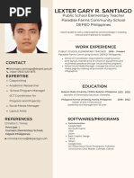 Lexter Gary R. Santiago: Work Experience