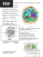 Examem U3 BIOLOGIA