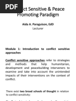 Conflict Sensitive & Peace Promoting Paradigm (SLC)