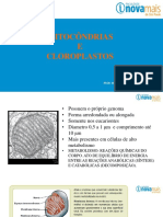 5-Mitocondrias e Cloroplastos 5 Aula