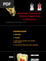 Anatomia Interna de Molares Superiores e Inferiores PDF