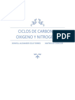 Ciclos Del Carbono, Oxigeno y Nitrogeno