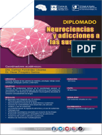 Diplomado Neurociencias