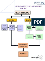 Flujograma de Inicio Precoz de La Lactancia Materna Final