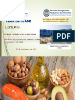 9.-Lipidos - Quimica de Alimentos .Nuevo