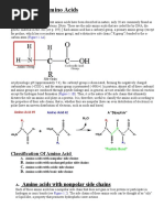 Chapter 4 Protein