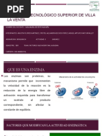 Factores Que Afectan La Act Enzimatica