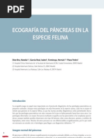 26 Ecografia Pancreas