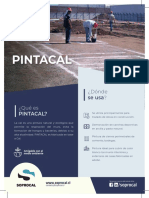 PINTACAL