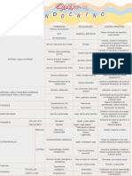 Mapa Conceptual Sistema Endocrino 7