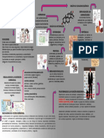 Mapa Conceptual Sistema Endocrino