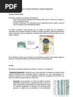 Tema 16 - Tejidos Vegetales Ii