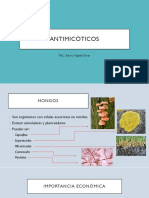 Antimicóticos