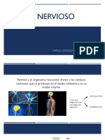 Clase 1 - DIVISIÓN DEL SISTEMA NERVIOSO