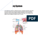 Respiratory System