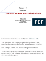 Plant Cells Vs Animal Cells