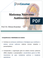 Sistema Nervoso Autonomo