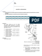 P1 - Avaliação Sistema Nervoso