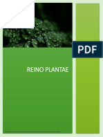 Reino Plantae