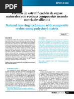 Tecnica de Estratificacion de Capas Natu