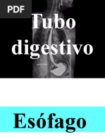 Tubo Digestivo