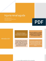 Injuria Renal Aguda SES