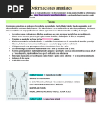 Patologias Del Desarrollo Equinos