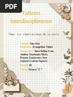 Taller Interdiciplinario P4