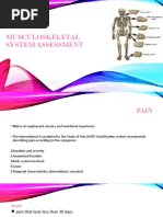 Musculoskeletal System Assessment