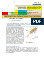 Primero Semana 29 CT