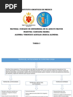 Teoria Del Autocuidado Mapa Conceptual