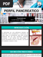 Perfil Pancreatico