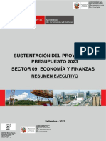 Resumen Ejecutivo pp23