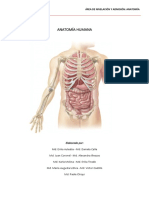 Manual Anatomia 2022 - 2023 2