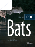 Bats