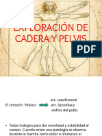 Exploracion Pelvis y Cadera