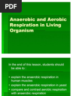 Anaerobic and Aerobic Respiration in Living Organism