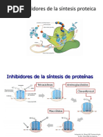 Inhibidores de La Síntesis Proteica