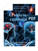 Sistema Endocrino (Anatomía)