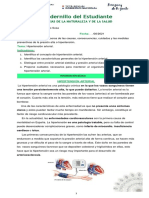 9º Hipertensión Arterial