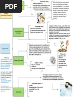 Derecho Fiscal Diagrama