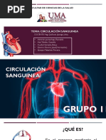 Circulación Sanguinea