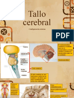 Tallo Cerebral