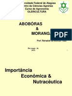 Aboboras & Morangas - Aula PDF 2010